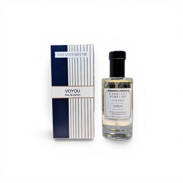 VOYOU