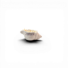 Bougie coquillage